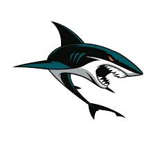 The san jose sharks finished 5th overall in the league and made it to the first round of the playoffs. San Jose Sharks Pick A New Creative Agency After 20 Years Agencyspy