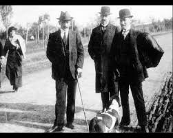 Tayyip Erdogan In Kedisi Vs Ataturk Un Kopegi Uludag Sozluk