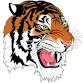 NOMMA Boys Varsity Basketball @ East Iberville event in St Gabriel, LA