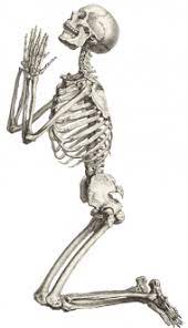 Download Free Skeleton Public Domain Halloween Images 2 2 Clipart Png Photo Png Free Png Images Skeleton Illustration Skeleton Drawings Anatomy Art