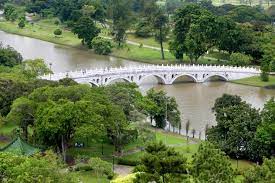 It is a people's garden, where spaces will be landscaped and created for families and the community to come together. Jurong Lake Gardens Parks Nature Reserves Gardens Parks Nature National Parks Board Nparks