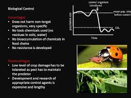 Insight into best practice, removal methods, training & equipment. Pest Control Chemical And Biological Control Of Pests Ppt Download