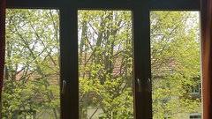Wer Hat Ideen Fur Verdunkelung Grosses Altbau Fenster Mit Rundbogen