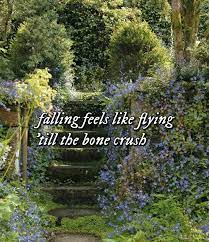 Check spelling or type a new query. Gold Rush Lyrics From Evermore By Taylor Swift Taylor Swift Lyrics Taylor Swift Songs Taylor Swift Quotes