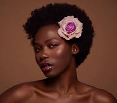 Hope Directory — 510media