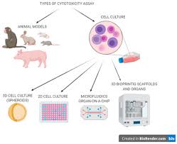 Maybe you would like to learn more about one of these? Micromachines Free Full Text Novel Strategies In Artificial Organ Development What Is The Future Of Medicine Html