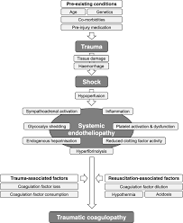 The European Guideline On Management Of Major Bleeding And Coagulopathy Following Trauma Fifth Edition Critical Care Full Text