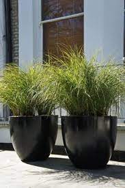 Maybe you would like to learn more about one of these? 52 Contemporary Garden Pots Ideas Contemporary Garden Garden Pots Garden Design