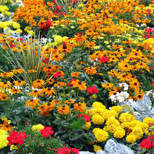 Pin On Vegetable Garden Design