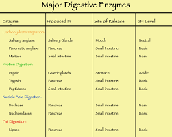 16 Uncommon Digestive Enzymes Table