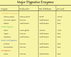 16 uncommon digestive enzymes table