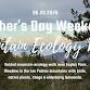 Father’s Day Weekend Mountain Ecology Walk