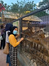 Harga tiket masuknya adalah usd 42,99 atau rp 564 ribu. 99 Wonderland Park Kuala Lumpur 2021 All You Need To Know Before You Go With Photos Tripadvisor