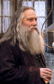 He attended crescent college, a jesuit school, and was an excellent rugby player, with a strong passion for literature. Aberforth Dumbledore Harry Potter Dumbledore Harry Potter Wiki Harry Potter More
