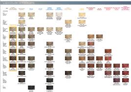 Clairol Professional Liquicolor Shade Chart In 2019 Hair