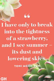 Travelling is the best feeling in the world. 35 Best Summer Quotes Lovely Sayings About Summertime