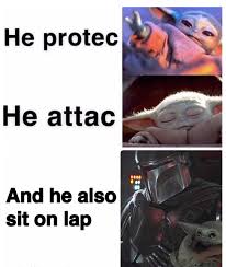 Pin By Lacey Davies On Protect Baby Yoda Star Wars Jokes Star Wars Memes Yoda Meme