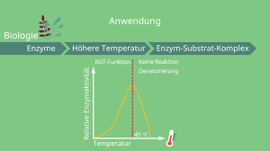 Bei 0°c laufen bei den meisten enzymen gar keine reaktionen ab. Rgt Regel Biologie Chemie Okologie Mit Video