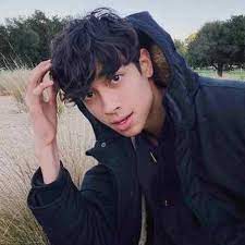 As per his instagram photos which he posted on 2nd december 2018, sebastian was dating a fellow youtuber, dylan. Sebastian Moy Bio Age Net Worth Height Single Nationality Body Measurement Career