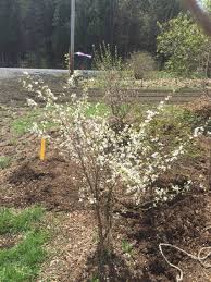 Maybe you would like to learn more about one of these? Perfect Circle Farm