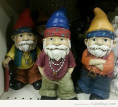 Gangsta Gnomes Gnomes Gnome Garden Thug