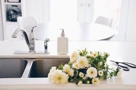 Empty nest syndrome consulting and counseling from expert natalie caine. My Now Clean House Is An Empty Nesters Consolation Prize