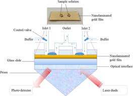 Figure 1 illustrates the kretschmann spr conﬁguration used in our numerical simulation and experiment. Urea And Creatinine Detection On Nano Laminated Gold Thin Film Using Kretschmann Based Surface Plasmon Resonance Biosensor