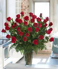 We're family owned and operated, and. 3 Dozen Red Ecuadorian Premium Roses In Kingwood Tx Va Va Bloom