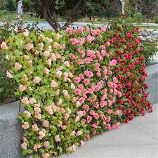 See more ideas about outdoor gardens, beautiful gardens, dream garden. Wooden Hedge With Artificial Flowers Leaves Garden Decoration Screening Expanding Trellis Privacy Screen Retractable Fence Fencing Trellis Gates Aliexpress