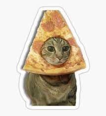 Funny Stickers Cat Stickers Meme Stickers Hipster Stickers