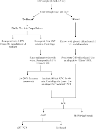 flow chart of csf sample processing download scientific