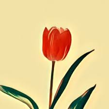 Verwandte traumsymbole eierkuchen hefekuchen hochzeitskuchen lebkuchen napfkuchen pfefferkuchen streuselkuchen zwiebelkuchen. Torte Traum Deutung