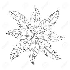 Boho Style Decorative Feathers Vector Illustration Design Illustration Sponsored Decorative Feathers Boho Style D Moose Art Graphic Graphic Design