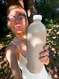 Has anyone made flax seed milk in the instant pot blender? (or vitamix,  etc). I bought some whole flax seeds to try this.