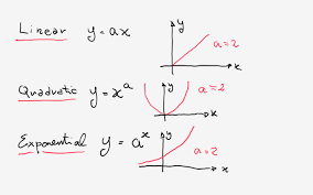 Suppose i have a function. Is Y X 2 1 An Exponential Function Example