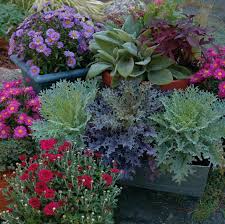 Urns are an outdoor planter staple that have their place primarily in traditionally styled patio designs. 16 Fall Container Garden Ideas