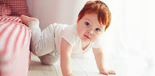 Quiz What Color Eyes And Hair Will My Baby Have Proprofs Quiz