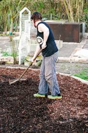 Wie Bekommt Mein Garten Struktur Gartenraume Schaffen Gartenraum Gartenstruktur Garten
