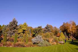 An ambitious plan is being put in place to get a major project achieved this spring in adrian bloom's garden, foggy bottom here at bressingham.in the 1970's, adrian was instrumental in popularising conifers and heathers which. Foggy Bottom Garden At Bressingham Gardens Down To Earth