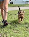 Dog Walking Services for Greater Cleveland Ohio