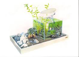 Wave Zen Artist 50 Combi Nano Aquarium 15 Liter Nano Aquarium Aquaponics Aquarium