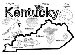 Your email address will not be published. Kentucky S State Symbols By Mrs Holly Hansen Teachers Pay Teachers
