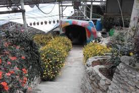 Cameron lavender (1,9 km), cameron highland orchid and rose garden (0,5 km) en rose centre (0,6 km). Rose Centre Cameron Highlands Terrace Garden Rose