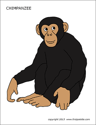 There are no shortages of fun and easy coloring pages, and this is one perfect example of that. Chimpanzee Free Printable Templates Coloring Pages Firstpalette Com