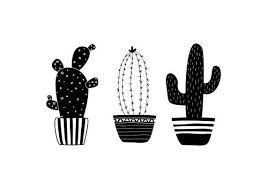 Hand drawn ink illustration, line drawing, home decor. Black And White 3 Cactus Poster Monochrome Hand Drawing Cacti Print A3 8x10 Wall Art Home Dorm Offi Poster Drawing Cactus Print Cactus Poster
