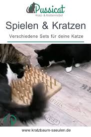 training fur geschickte pfoten video katzen spielzeug katzen fummelbrett katze
