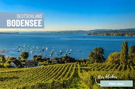 Für hunde ausschließlich am ausgewiesenen hundestrand (1. Ferienhaus Deutschland Mit Hund Mein Haustier