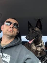 🚨 These Dogs Need You! 🚨 Last Chance Dog Rescue is facing a critical  moment—and we need your help more than ever. Not only are we overwhelmed  with the rising costs of