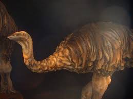 Artik Aramizda Olmayan Nesli Tukenmis 15 Ilginc Hayvan Turu Hayvan Gergedanlar Dinozorlar