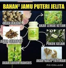 Puteri jelita dari kerajaan sunda, benarkah ceritanya demikian? Jamu Puteri Jelita Jamu Puteri Jelita 1